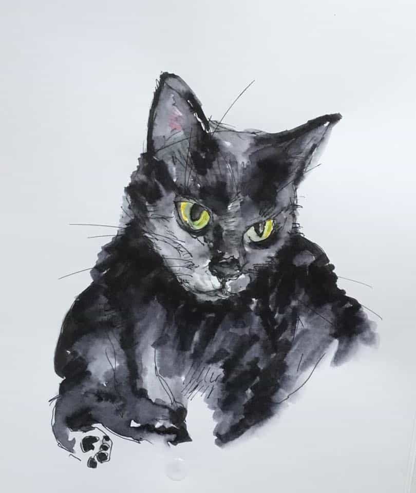 Jo Harris cat sketch