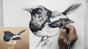 Step-by-step drawing techniques 2